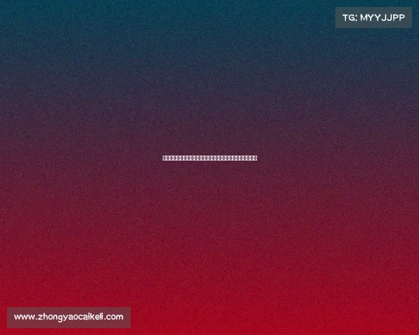 巴尔德吉表现自信稳健，能力获认可，或许是未来中场核心。