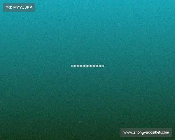 李梦雯谈自我进步与年轻球员留洋探索欲的必要性 李梦雯谈自我进步与年轻球员留洋探索欲的必要性