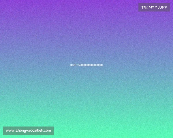 英超2025赛季关键球员深度解析与影响力展望