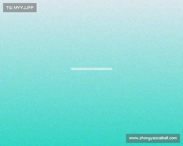 巴尔德吉表现自信稳健，能力获认可，或许是未来中场核心。