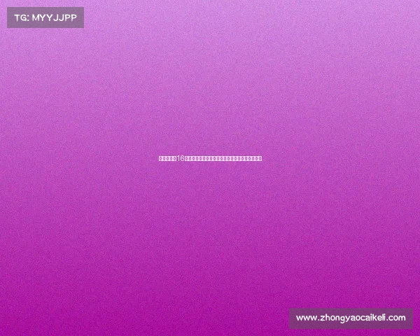 德媒称拜仁16岁后卫基亚拉新赛季表现出色将获得更多出场机会