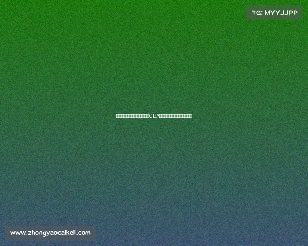 李楠爱子李禄曈时隔一年重返CBA注册背后隐藏的深层意义解析