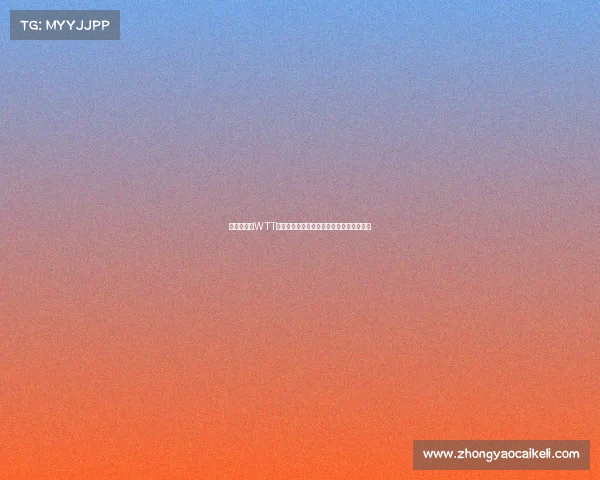 樊振东勇夺WTT重庆冠军赛男单冠军展现霸气实力再创辉煌