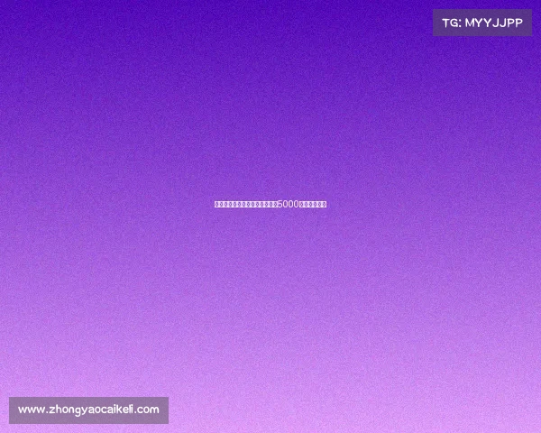 霍伊伦将加盟那不勒斯转会总价5000万欧达成协议