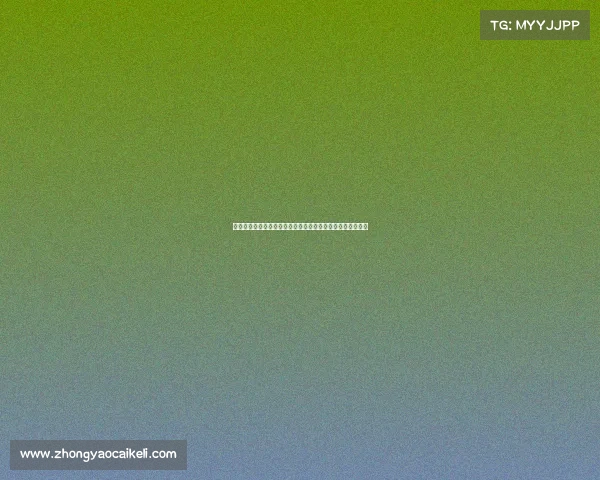 巴尔德吉表现自信稳健，能力获认可，或许是未来中场核心。