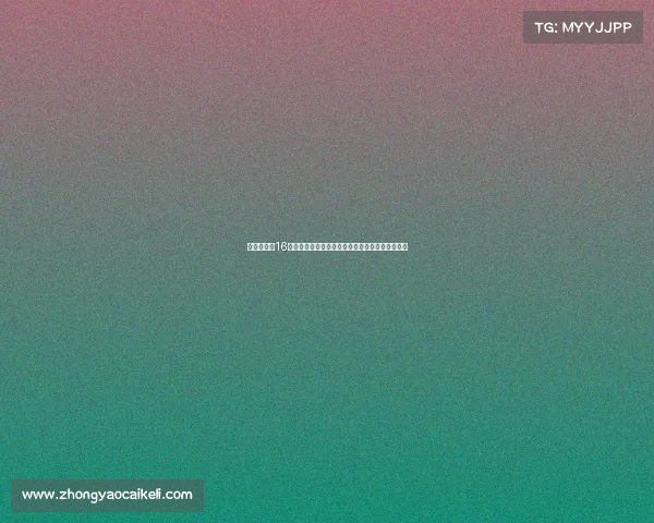 德媒称拜仁16岁后卫基亚拉新赛季表现出色将获得更多出场机会