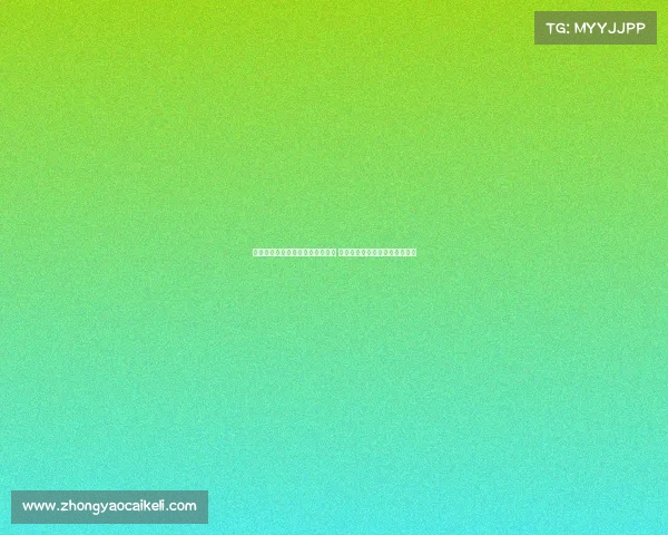 德甲球队实力对比与赛季前瞻分析 德国足球的崛起与未来发展趋势