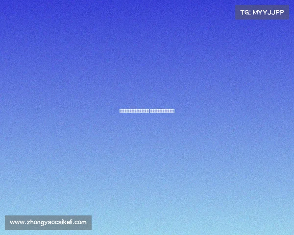 维萨转会纽卡斯尔进展顺利 谈判即将进入关键阶段 维萨转会纽卡斯尔进展顺利 谈判即将进入关键阶段