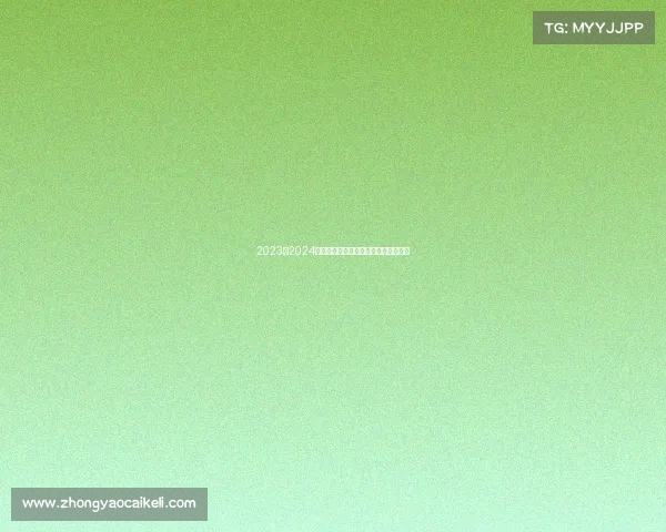 2023至2024赛季法甲联赛全程回顾与球队动态分析 2023至2024赛季法甲联赛全程回顾与球队动态分析