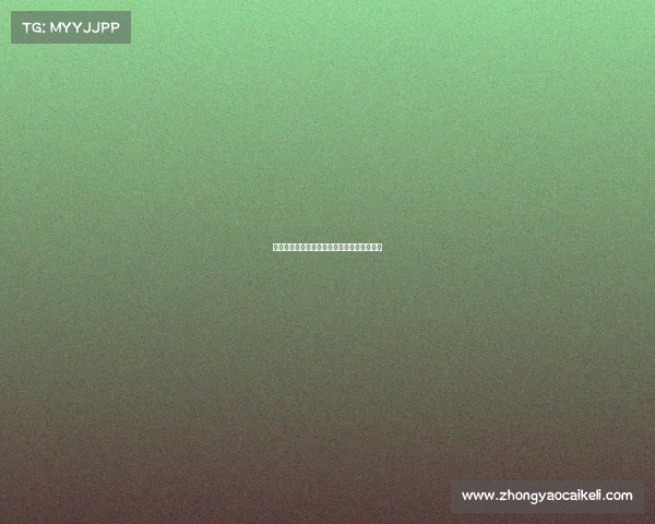 德甲赛季精彩回顾：各队表现分析与未来展望