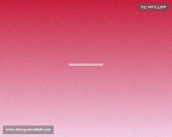 法甲前锋崛起新星：未来射手王的成长轨迹与技术剖析