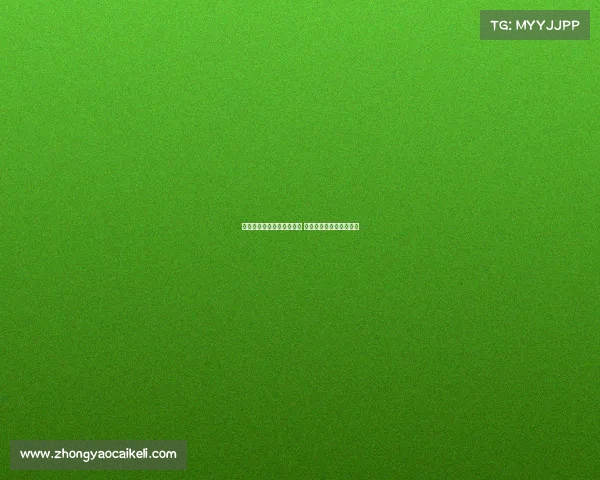 英超新帅接任首战即将开幕 球迷期待新阵容带来改变