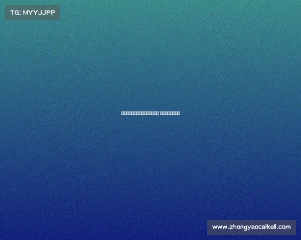 西汉姆联与铃木彩艳展开深入谈判 致力拓展亚洲市场