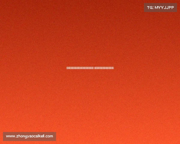 法甲康复团队打造全方位运动员恢复体系 提升球员竞技状态与健康管理