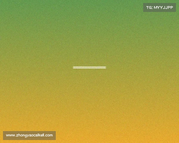 罗马诺曝纽卡与米兰就佳夫转会达成最后谈判阶段