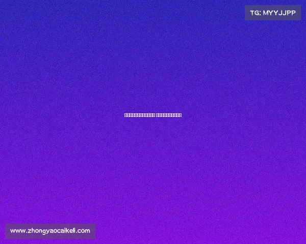 维萨转会纽卡斯尔进展顺利 谈判即将进入关键阶段 维萨转会纽卡斯尔进展顺利 谈判即将进入关键阶段