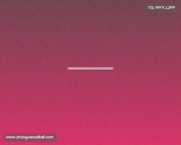 英超助理教练的幕后故事与挑战：他们如何影响球队战术与胜负走势