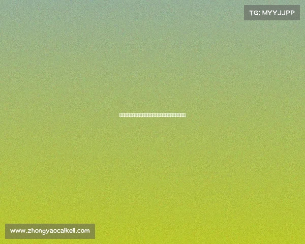 英超赛事热图分析揭示球队战术布局与球员表现的关键趋势