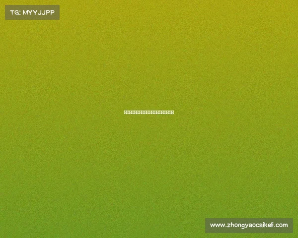 德甲赛季精彩回顾：各队表现分析与未来展望