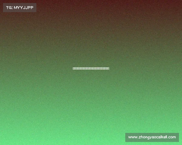 法甲联赛友谊赛精彩回顾：各队实力较量与新赛季前瞻