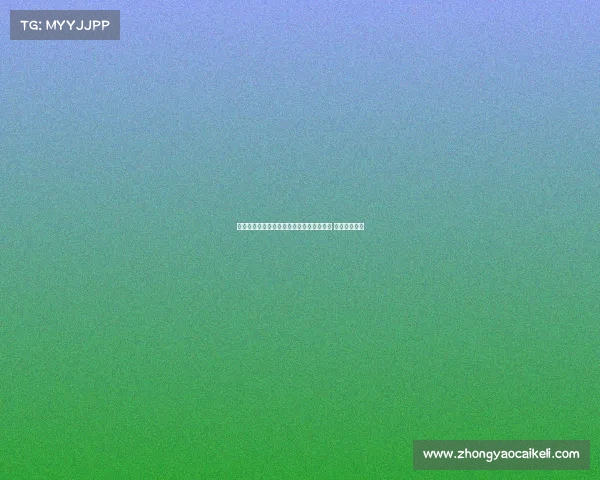 石宇奇力克强敌挺进羽毛球世锦赛男单决赛 追求历史荣光