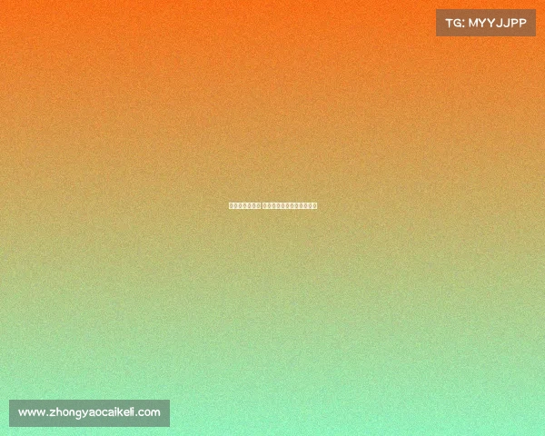 西甲与意甲对决 谁将成为欧洲足球的新霸主