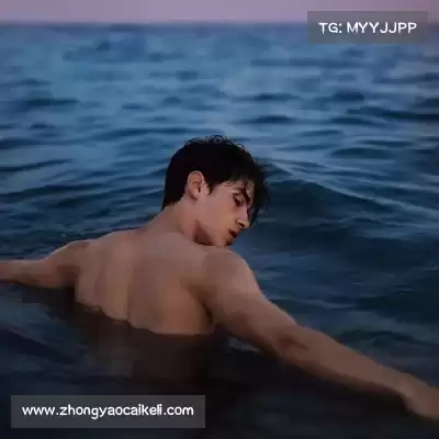 沈维朵
